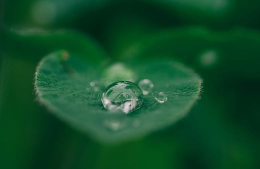 sustainability-startup-e1620809030531