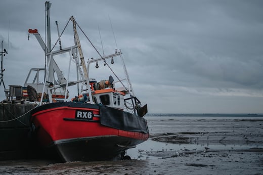alexandra-richardson-6SZGS0_qy3s-unsplash